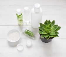 Comment obtenir la certification bio pour des produits cosmétiques en Afrique ? Le cas d'Ecocert